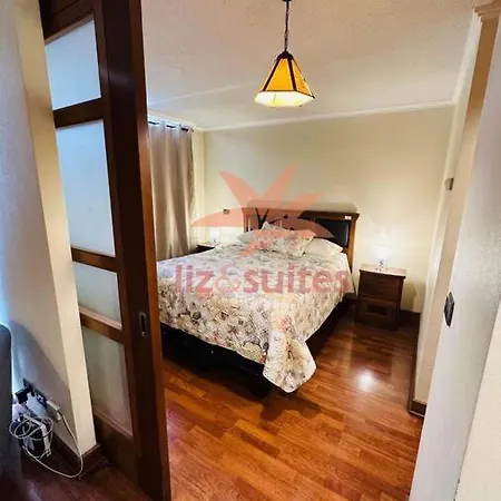 Depto Comodo En Providencia Apartment